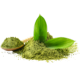 Matcha Green Tea