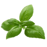 Green Notes