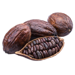 Cocoa