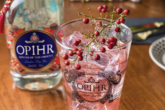 Opihr Generic Story 1/2
