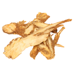 Angelica Roots