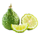 Bergamot