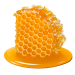 Honeycomb