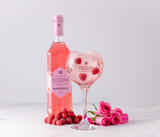 bloom-raspberry-and-rose-gin-11.png